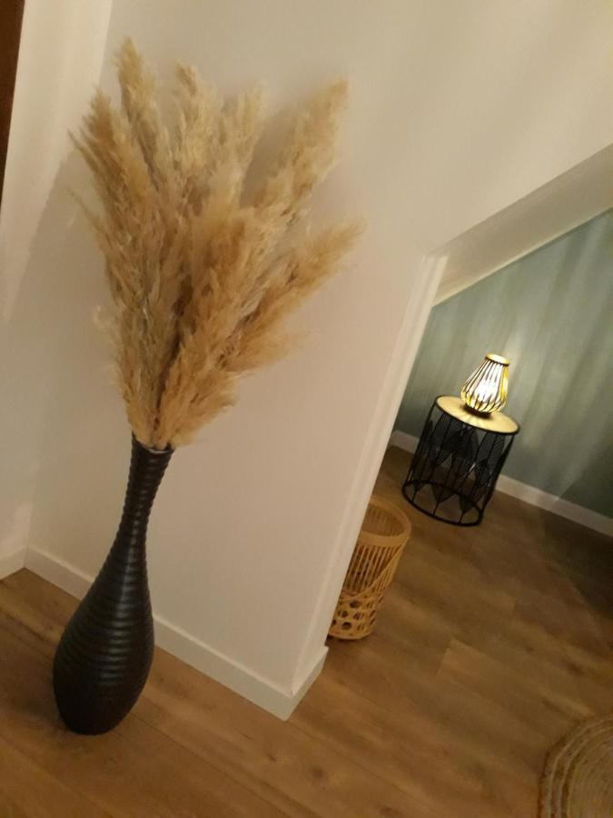 La Canisse 3 : Joli Appartement - Boulogne Sur Mer Dış mekan fotoğraf
